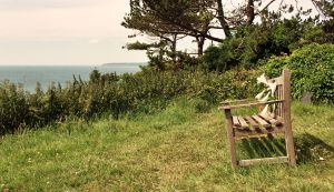 Autosave-File vom d-lab2/3 der AgfaPhoto GmbH