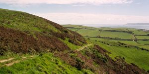 Autosave-File vom d-lab2/3 der AgfaPhoto GmbH